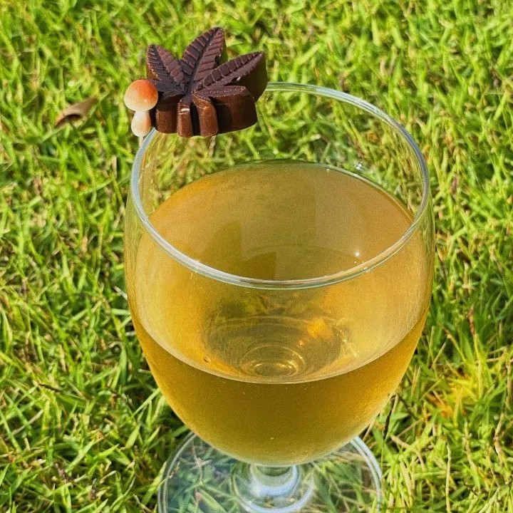 Mushroom Wine Recipe