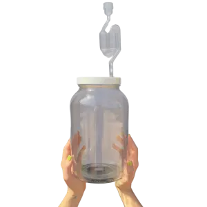 One Gallon Jar w/ Lid & Airlock (Set of 2)